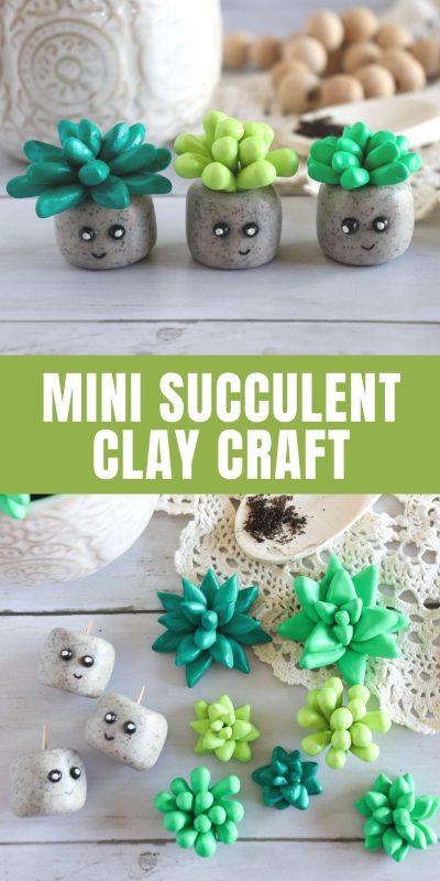 DIY Mini Succulent Clay Craft  Homemade Heather
