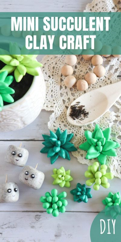 diy mini succulent clay craft