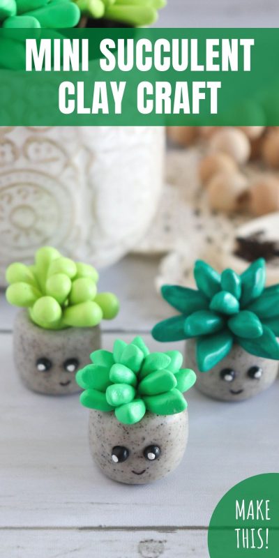 mini succulent clay craft