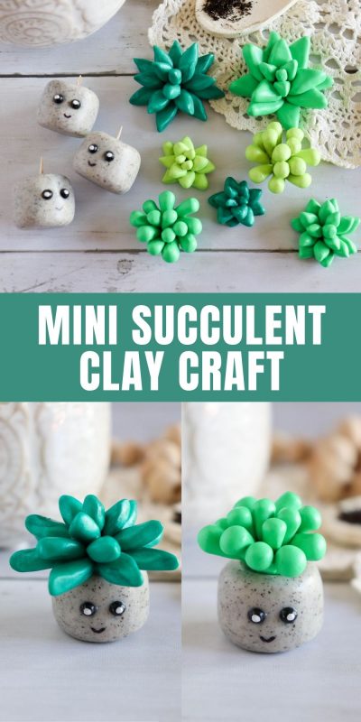 mini succulent polymer clay craft