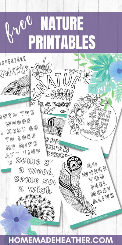 nature printable coloring pages
