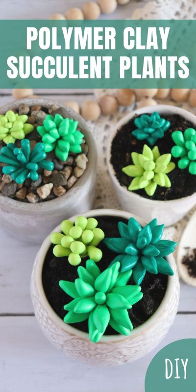 polymer clay succulent plants