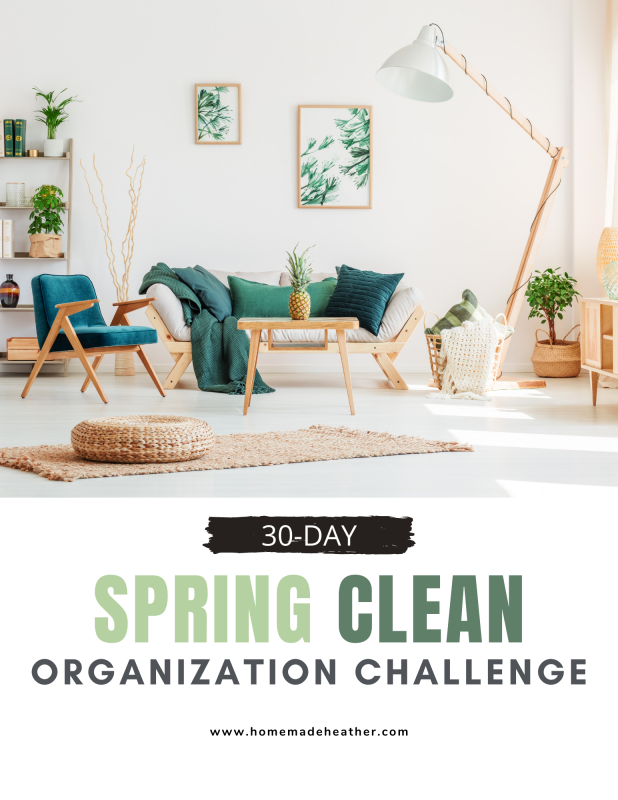 spring clean organization challenge