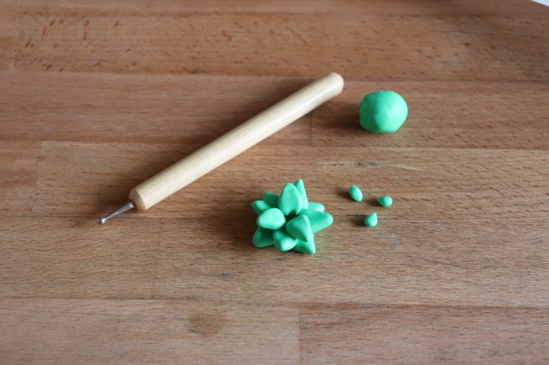 succulent clay craft img