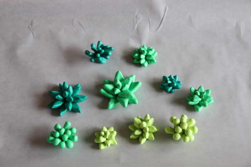 succulent clay craft img