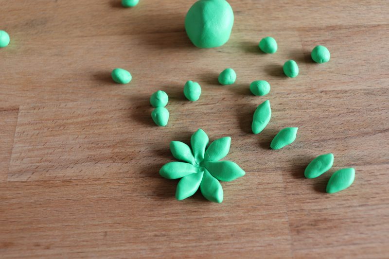 succulent clay craft img