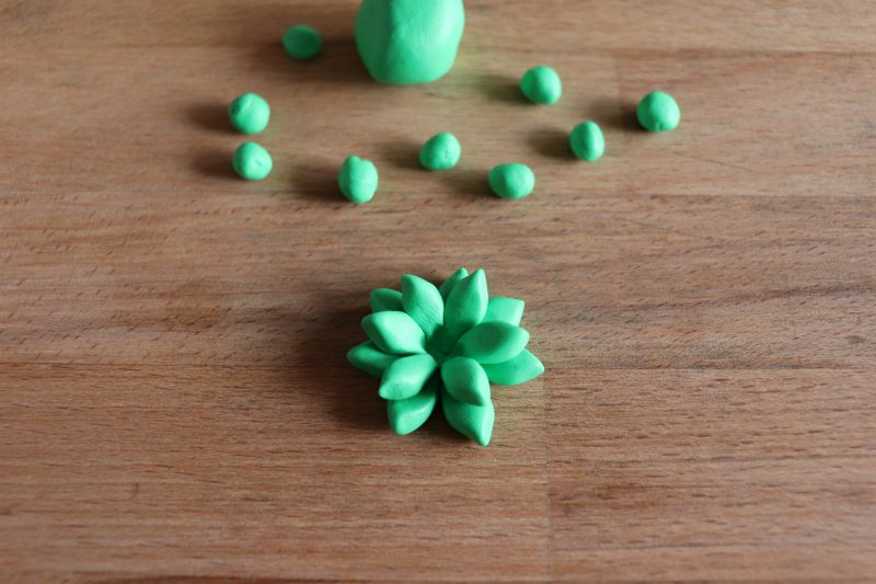 succulent clay craft img