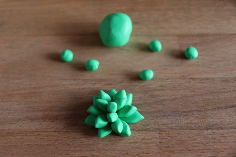 succulent clay craft img