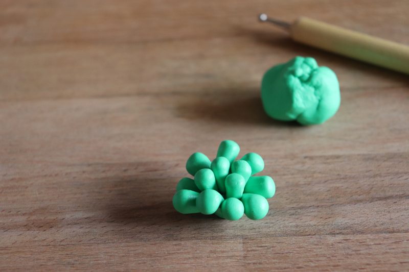 succulent clay craft img