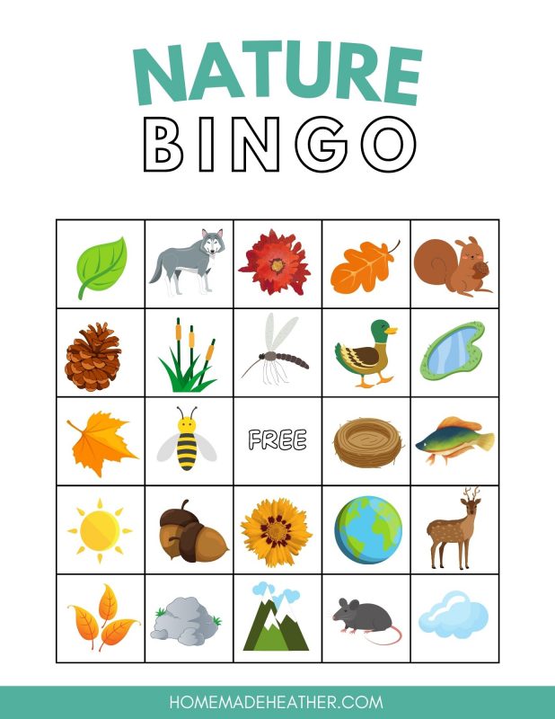 Printable bingo card with nature themed images.