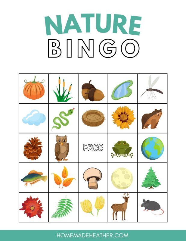 printable nature bingo
