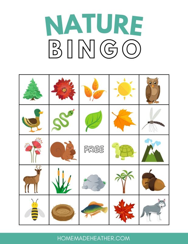 Printable bingo card with nature images.