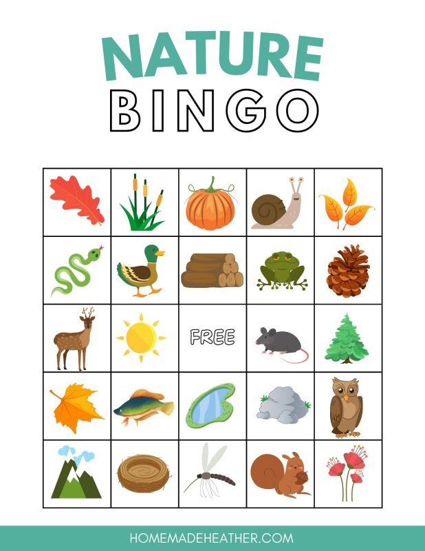 Bingo card printable with nature themed images.