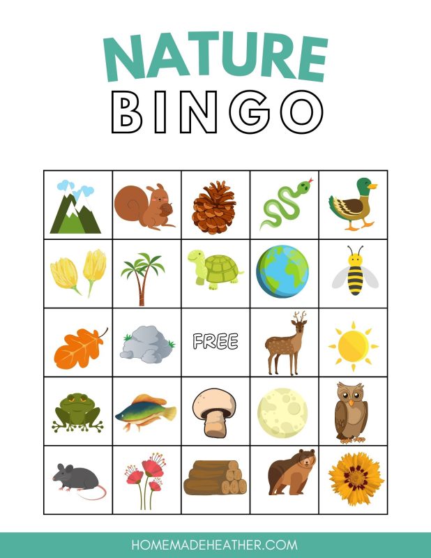 Nature bingo card printable.