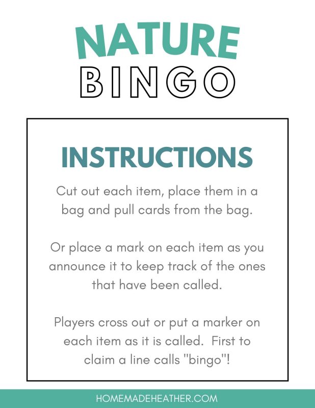 nature bingo instructions