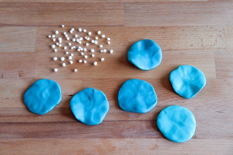 polymer clay mushrooms polymer clay mushrooms