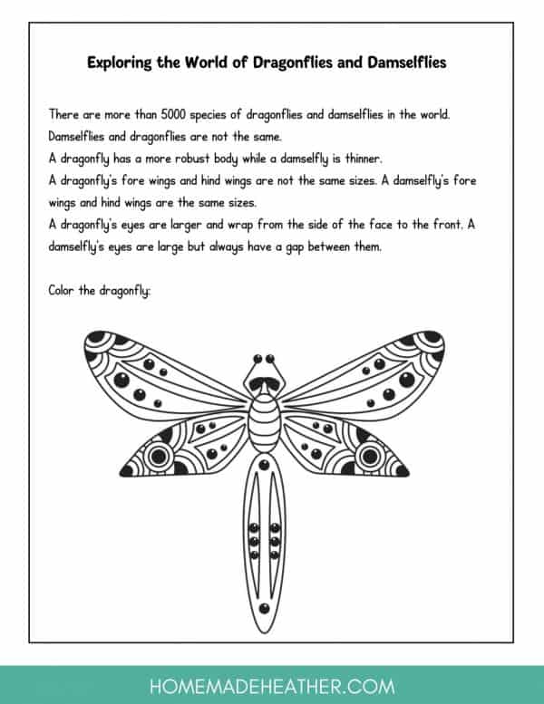 Backyard Dragonfly Printable