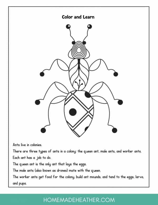 Backyard Printable Color & Learn Ant
