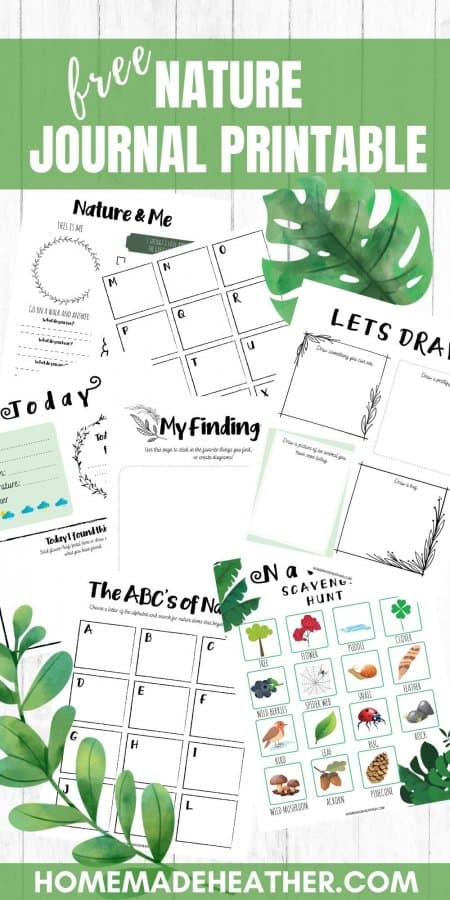 Free and printable nature journal pages.