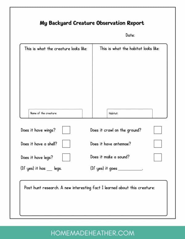 Free Backyard Printable Report