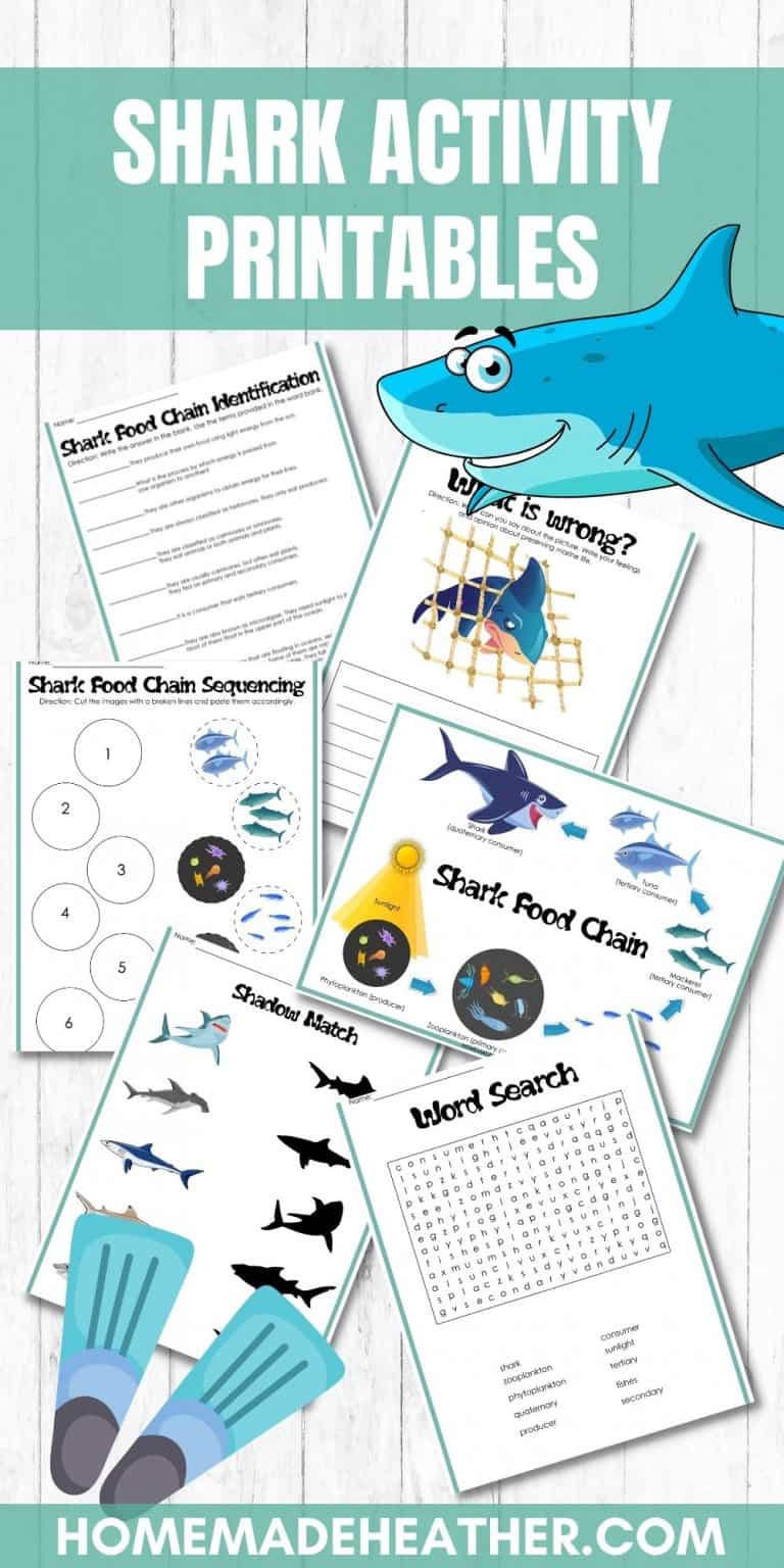 Free Shark Activity Printables