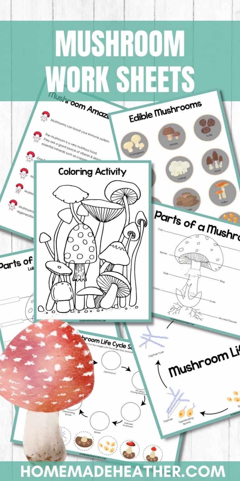 Mushroom Printable Work Sheets