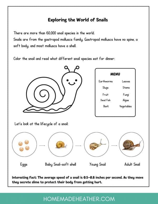 Backyard Snail Printable 