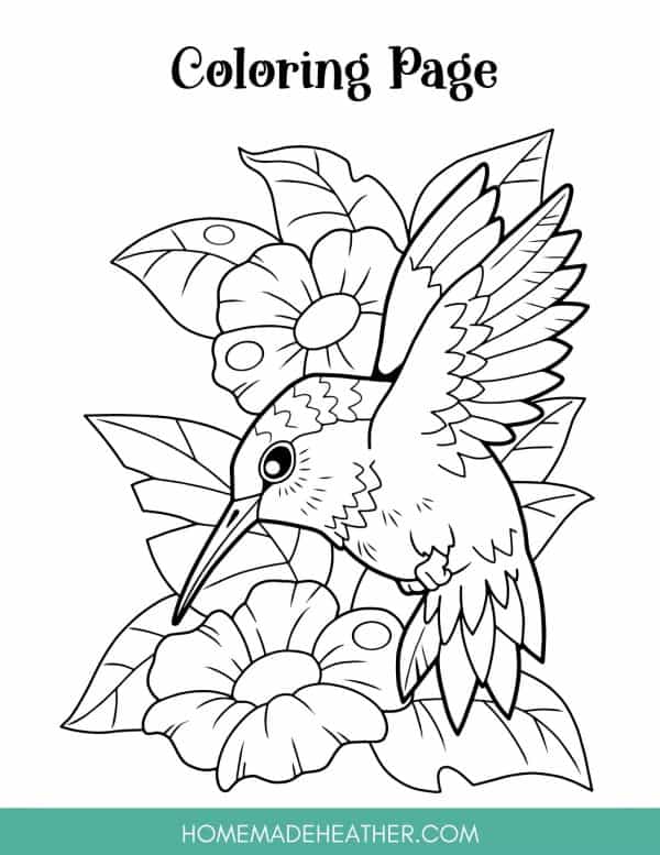 Flower Pollination Coloring Page