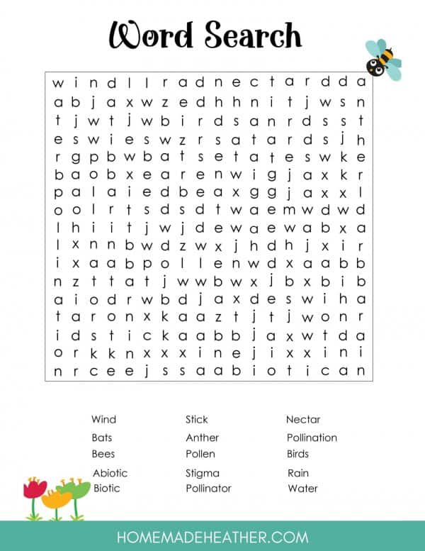Flower Pollination Word Search