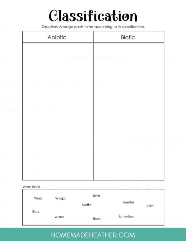 Flower Pollinators Classification Printable
