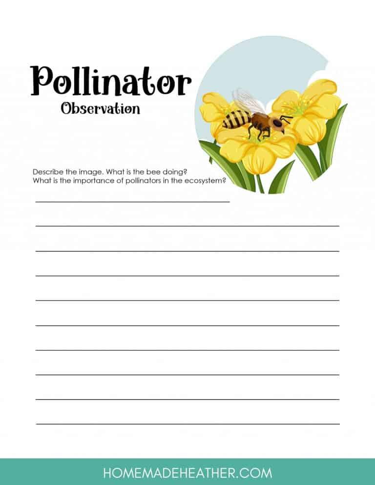 Free Pollination Printable Work Sheets » Homemade Heather