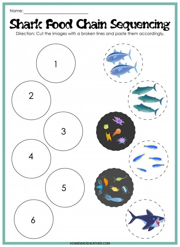 Free Shark Activity Printables