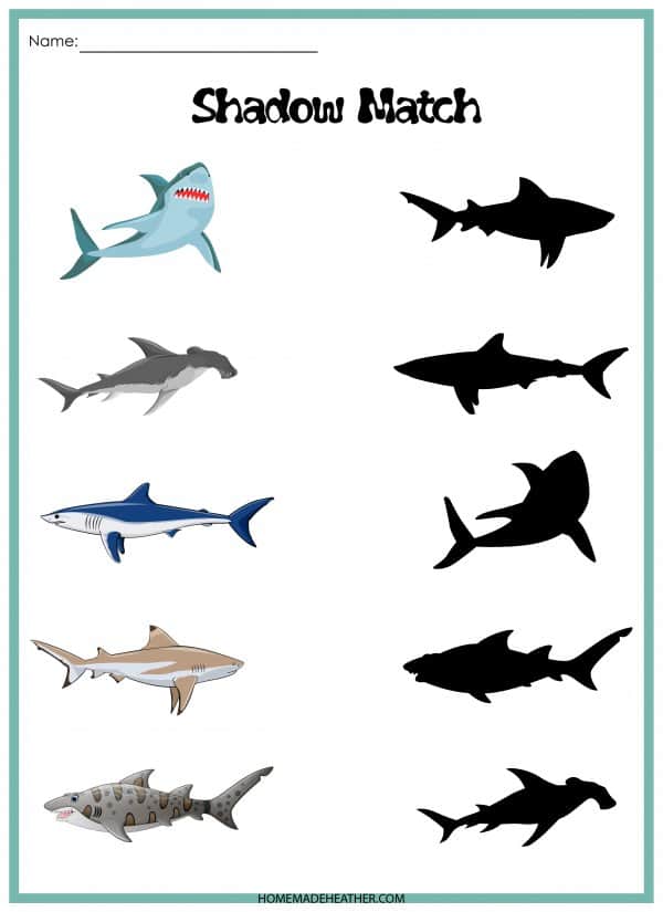 Free Shark Match Activity Printable