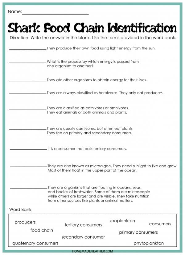 Shark Food Chain Identification