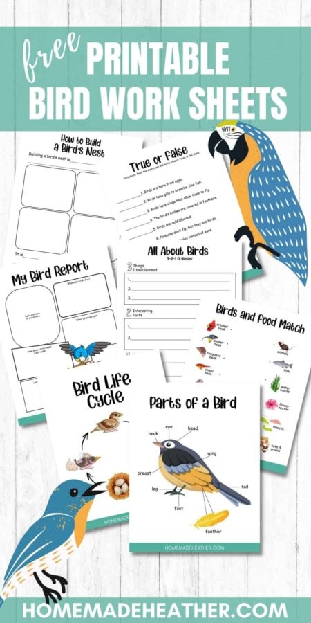 Six free printable bird work sheets.
