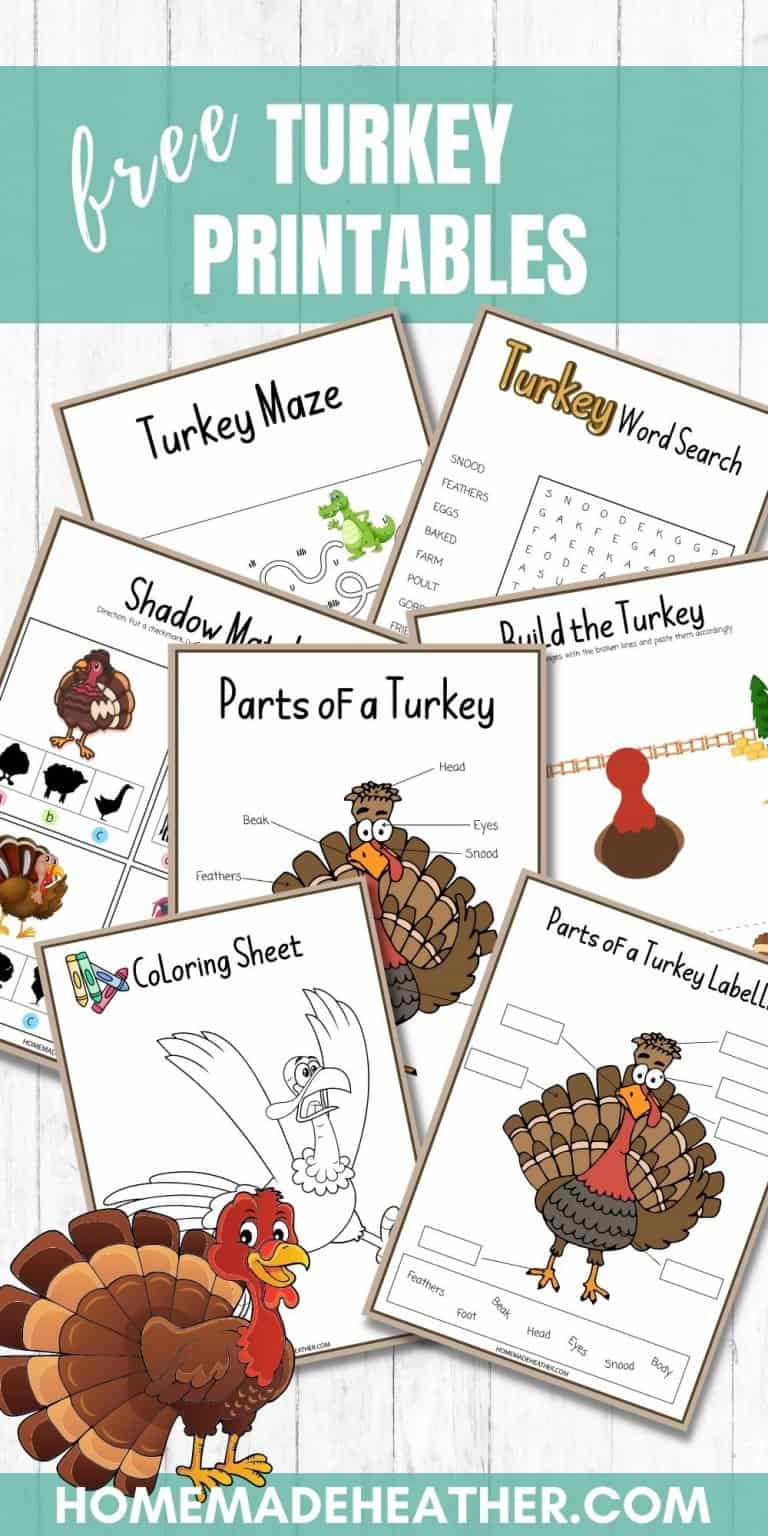 Free Turkey Activity Printables for Kids