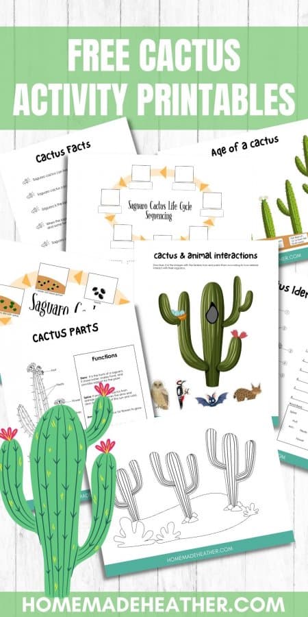 mothers day activity printables Free Cactus Activity Printables