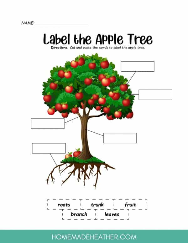 Label the Apple Tree