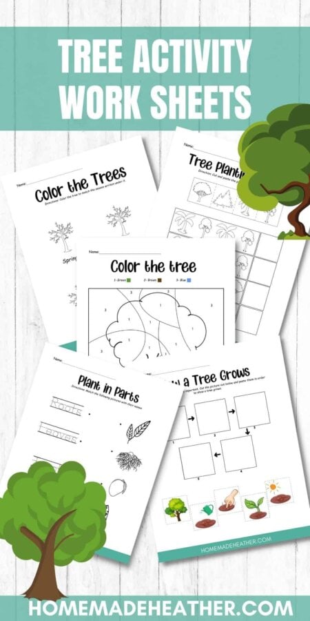 Learn about trees with these free activity printables.