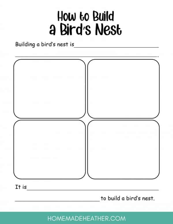 A worksheet to help children build their own bird nest.