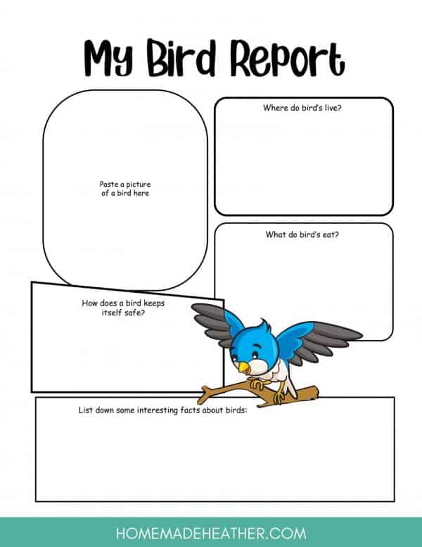 Bird report worksheet with space to paste an image, write facts learned about birds, such as where birds eat and live.