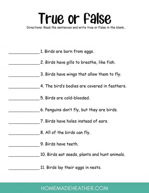 True or false free bird printable worksheets.