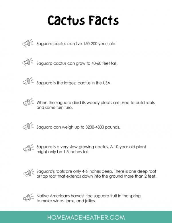 Cactus Facts Printable
