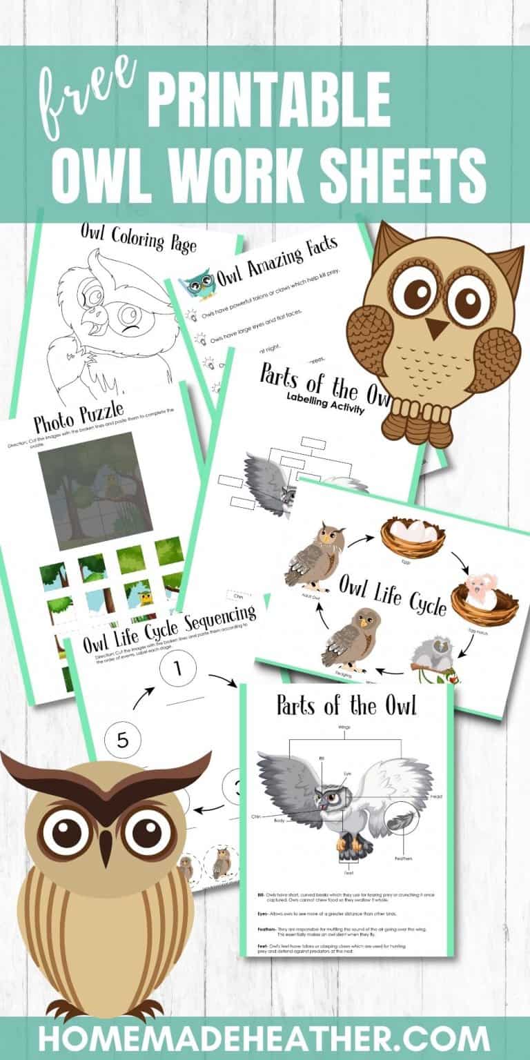 Free Owl Activity Printables