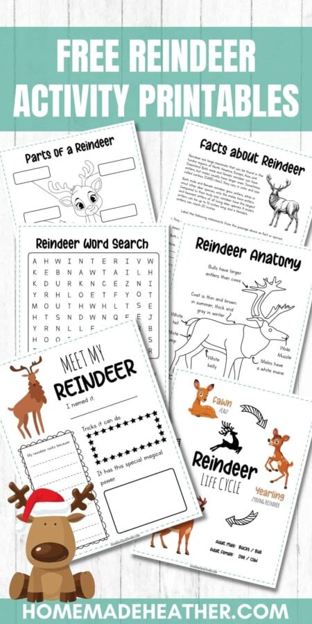 Free Reindeer Activity Printables in a flat lay.