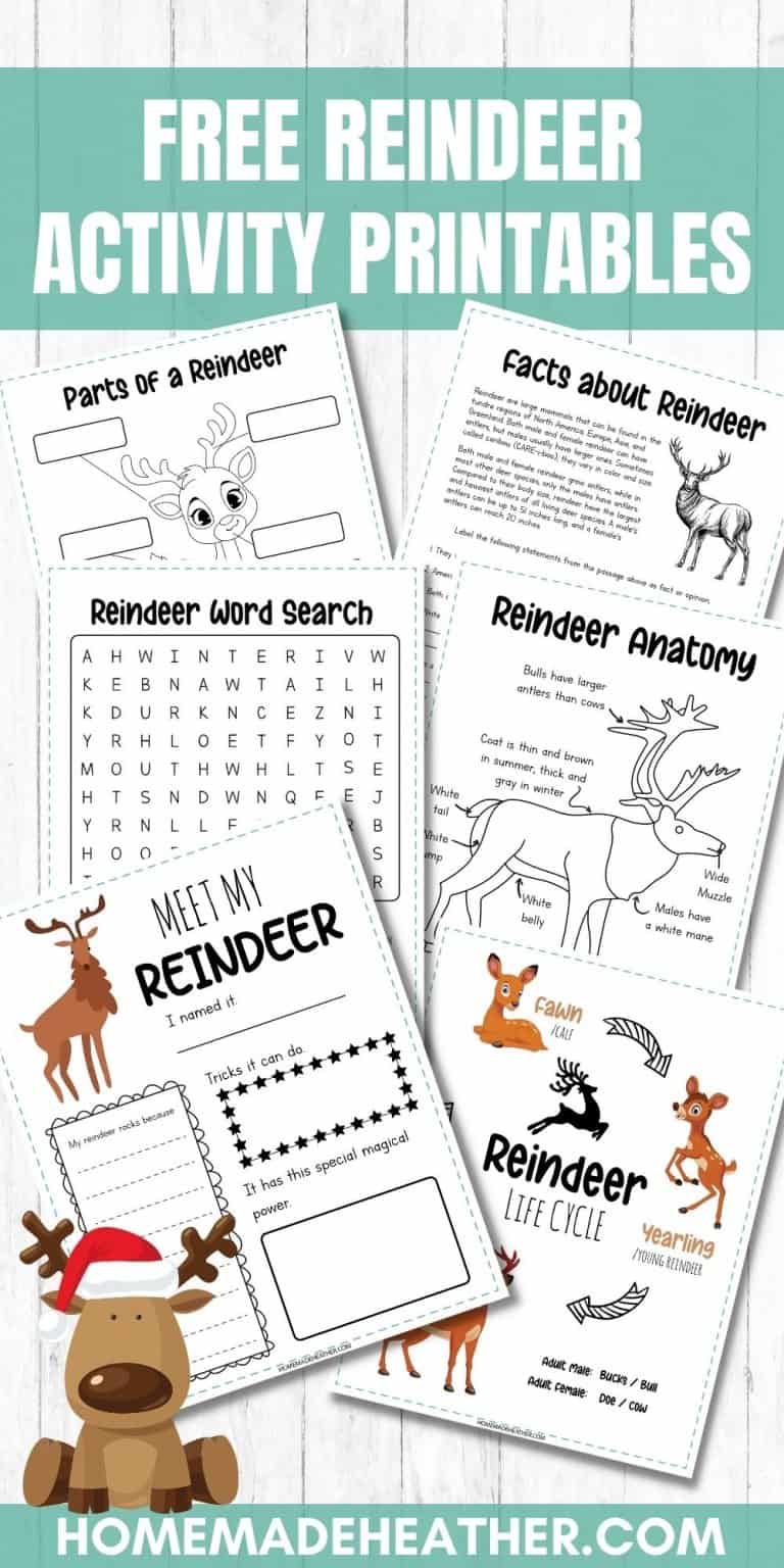 Free Reindeer Activity Printables