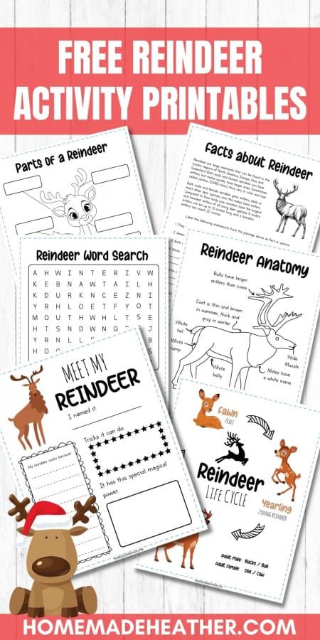 Free Reindeer Activity Printables on a flat lay.