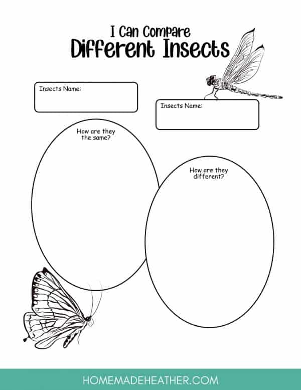 Free Dragonfly Printables