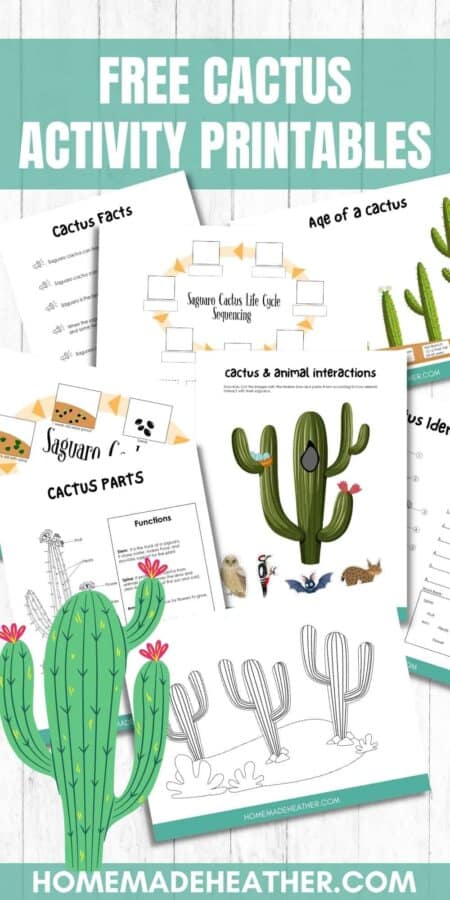 mothers day activity printables Free Cactus Activity Printables