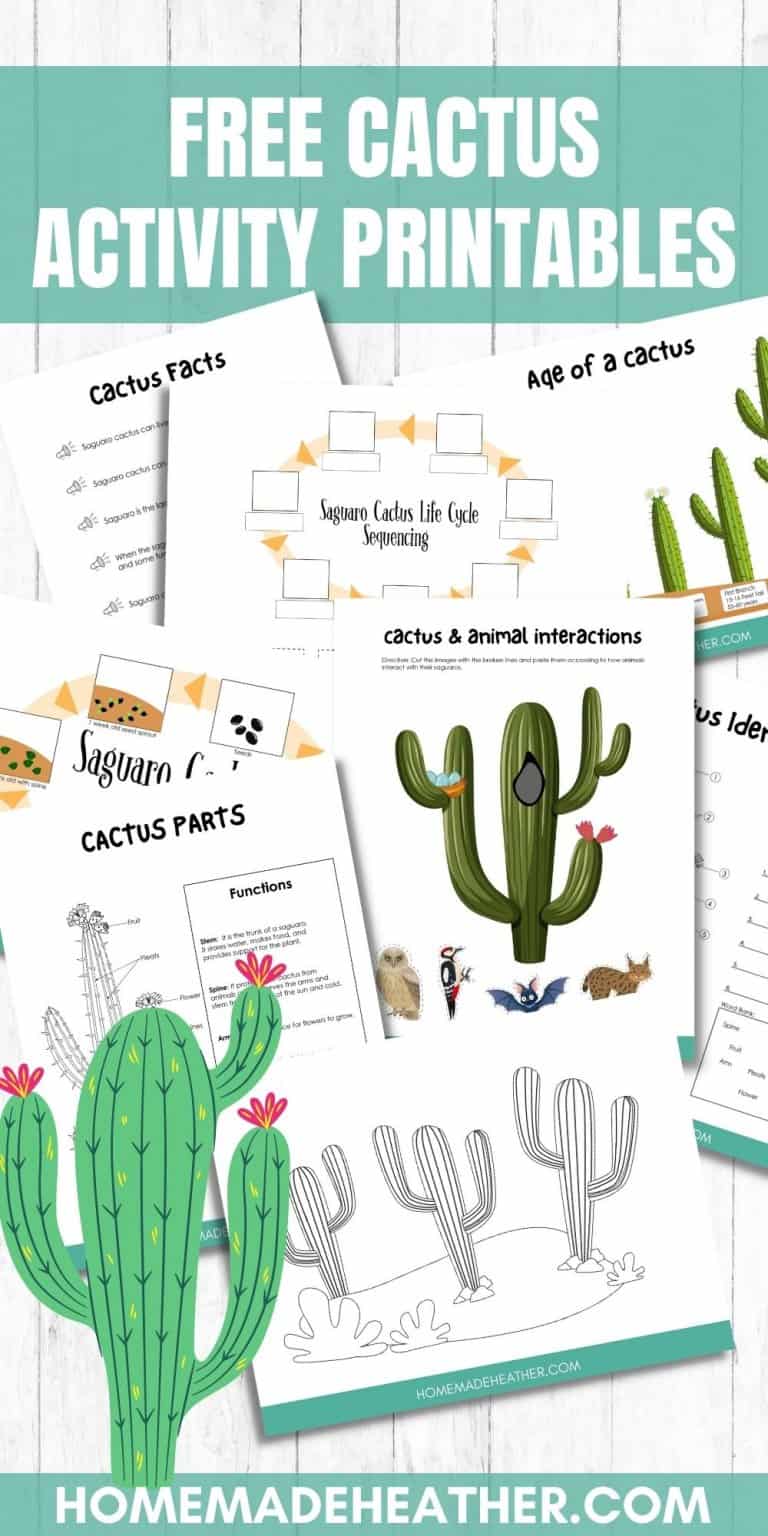 Free Cactus Activity Printables